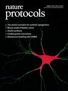 made the cover of month's issue of Protocols – Berlin lab